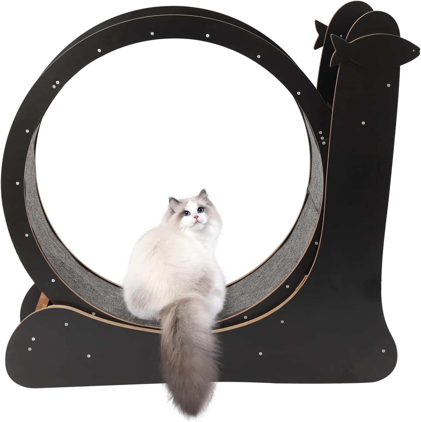 Cinta de Correr para Perros Rueda de Ejercicio para Gatos, Cinta de Correr para Gatos, Ruedas Redondas para Correr con Pasarela alfombrada, Dispositivo