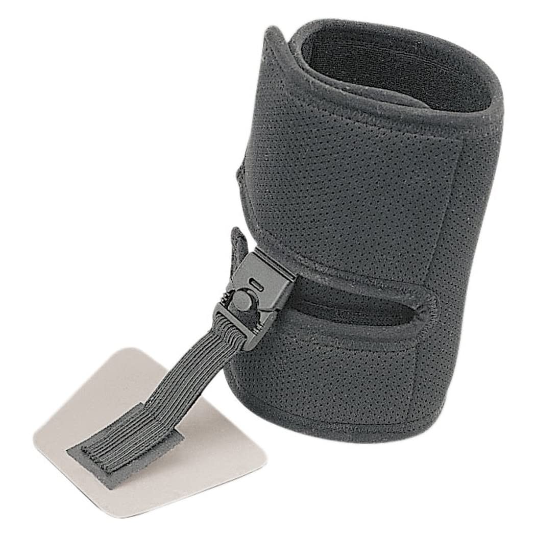 掛軸 儲かる一峰 蒼生 筆 縁起物 共箱 真筆】 儲かる一峰 蒼生筆 共箱