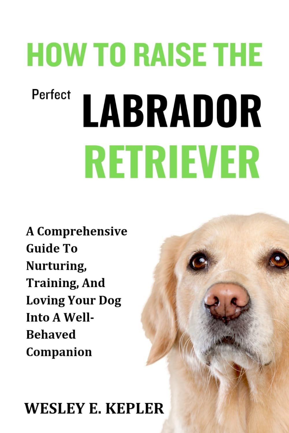 HOW TO RAISE THE PERFECT LABRADOR RETRIEVER: A Comprehensive Guide To Nurturing, Training, And Loving Your Dog Into A Well-Behaved Companion