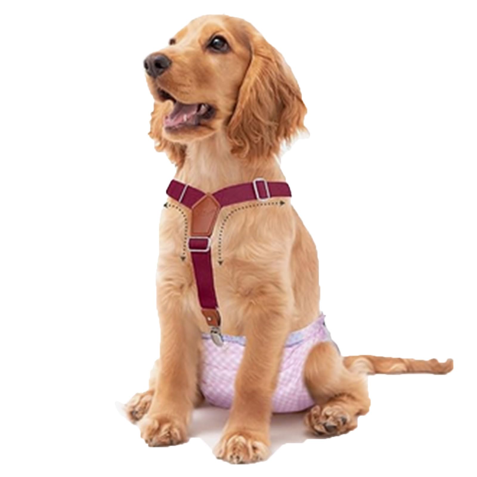 rflaueo 2pcs Pet Soft Dog Washable & Adjustable Suspenders for Diaper Keeper and Belly Bands (U168-2), Black and Wine Red - Image 2