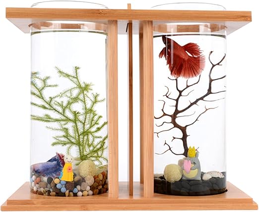 Creative Bamboo & Wood Ecological Fish Tank - Dual Glass Desktop Mini DIY Betta Fish Tank Aquarium