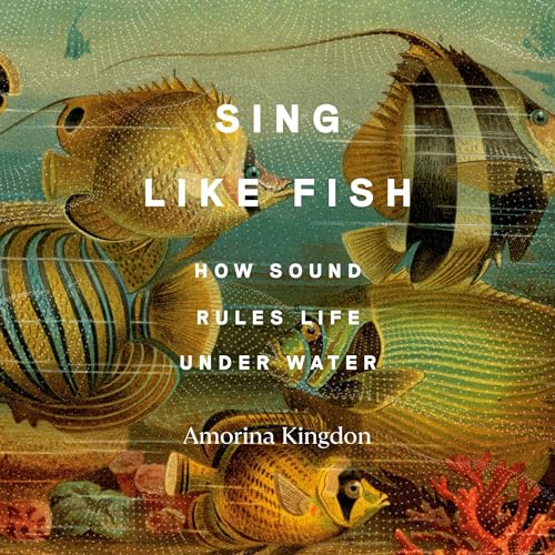 Sing Like Fish by Amorina Kingdon episode artwork