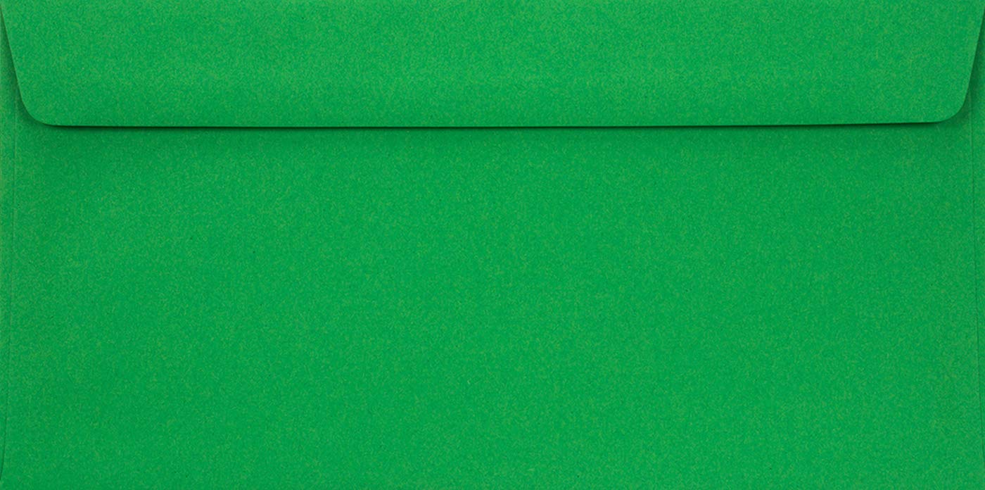 Netuno 100 Long Green envelopes DL 110 x 220 mm 4.33 x 8.66 in 90gsm Burano Verde Bandiera Invitation Envelope Elegant Colourful envelopes for Weddings Christmas Birthdays Greeting Cards Postcards โ image 1