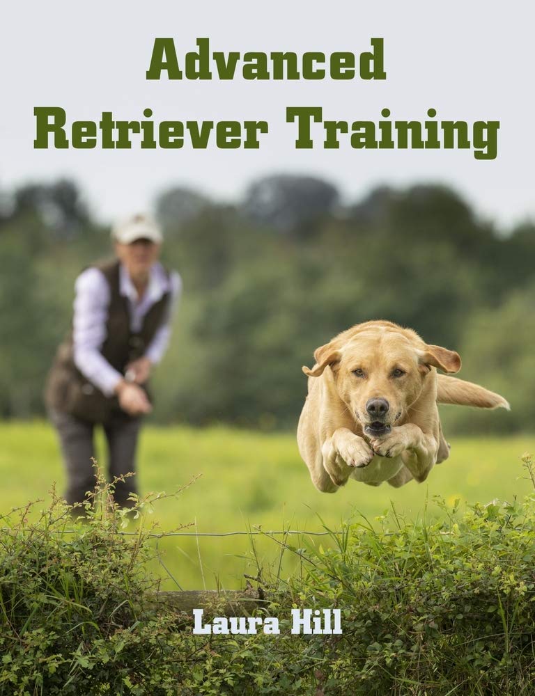 Advanced Retriever Training by Laura Hill (Paperback Book)