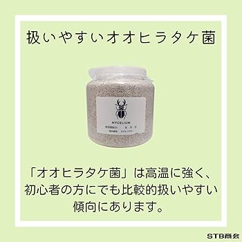 【お得】菌糸ビン 自作用アイテム５点セット（おまけ付き） 楽天市場】冷蔵☆菌糸ビン MIKUプレミアム菌糸ボトル