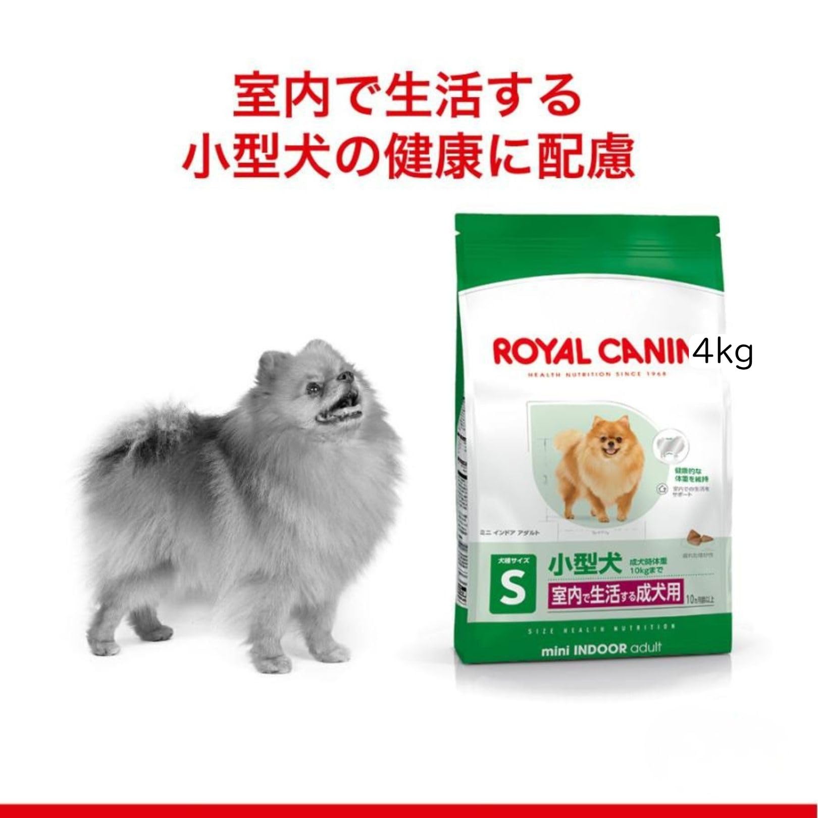 Amazon.co.jp: ロイヤルカナン SHN ミニ インドア アダルト 室内で生活