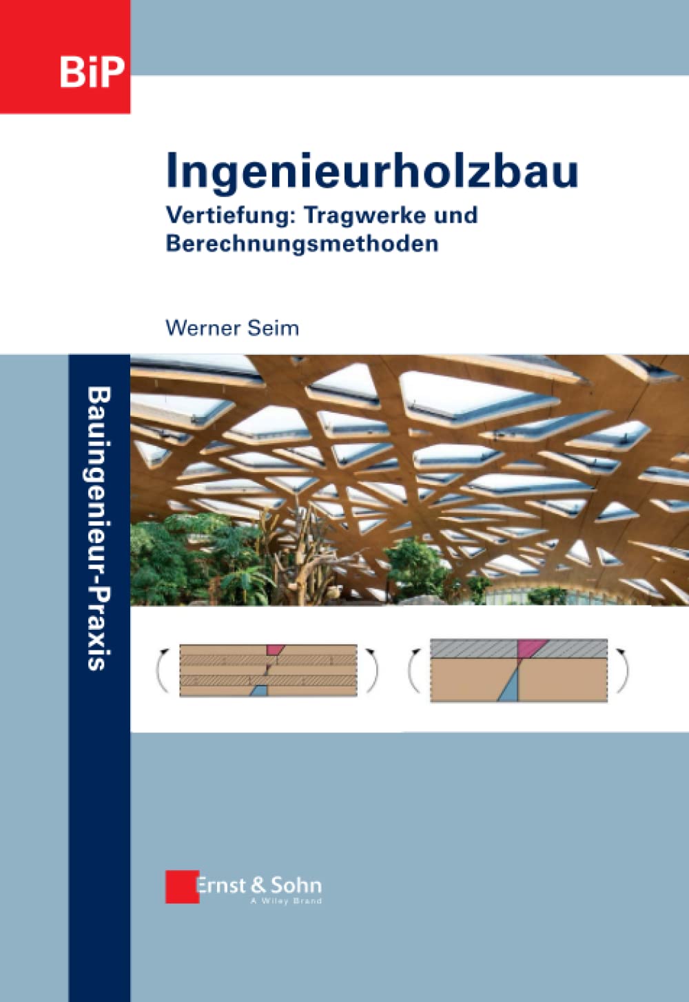 Ingenieurholzbau: Vertiefung: Tragwerke und Berechnungsmethoden