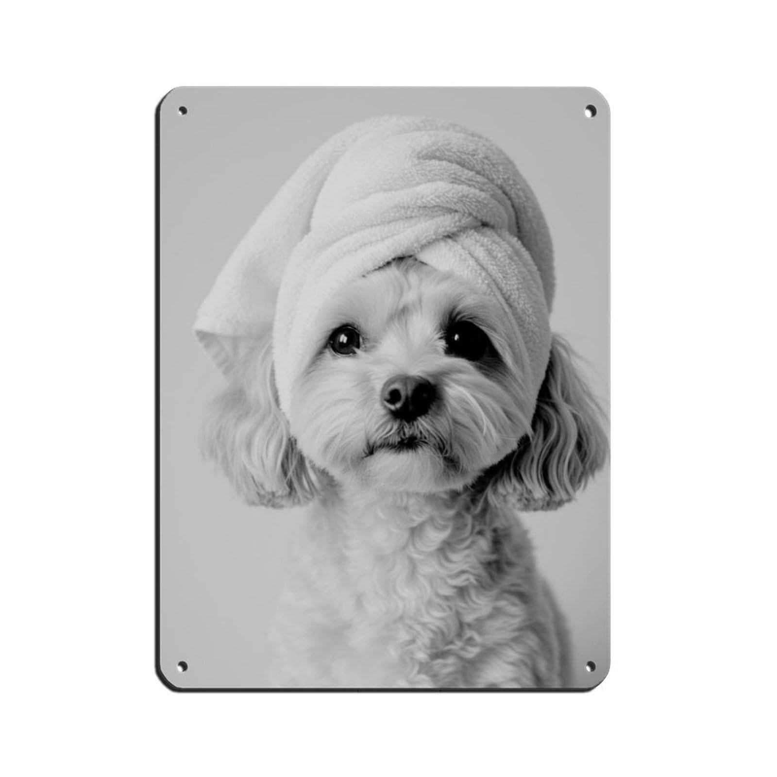 Bathroom Spa Art, Poochon Dog, Décor Art Tin Sign Vintage Metal Pub Club Cafe Bar Home Wall Art Decoration Poster Retro 12x16inch(30x40cm)