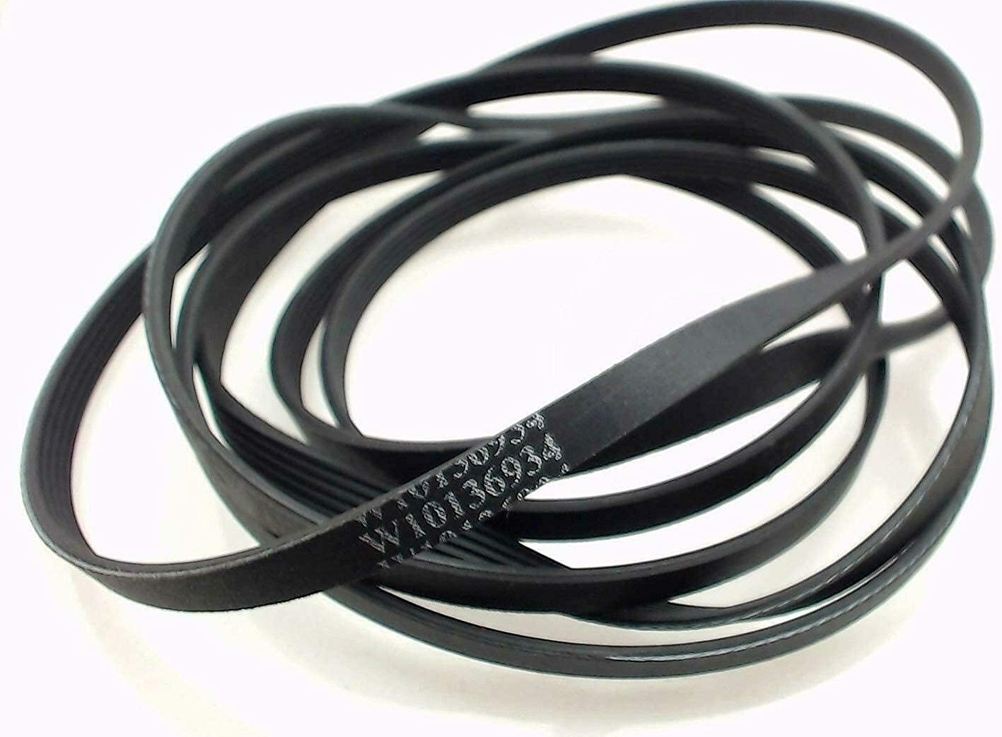 5 Rib WPW10136934 Dryer Drum Belt for Maytag AP6015603, PS11748884, Supplied by LITYPEND and Shipped from the USA.