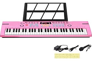 Premium 24hocl Electric Keyboard for Aspiring Musicians