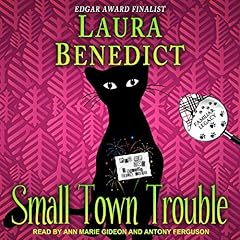 Couverture de Small Town Trouble