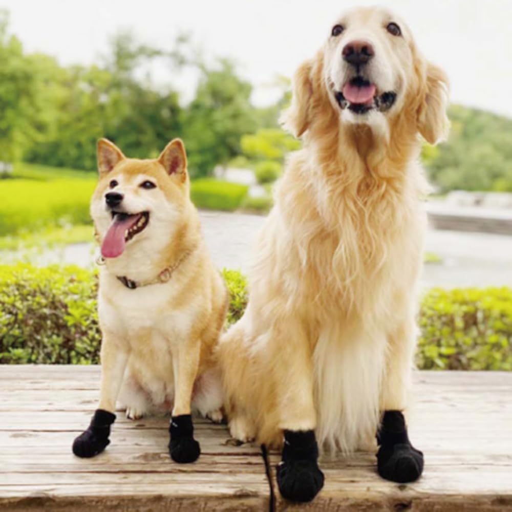 Amazon.co.jp: アニフル (anifull) アニサポ ナックルンHERO XSサイズ