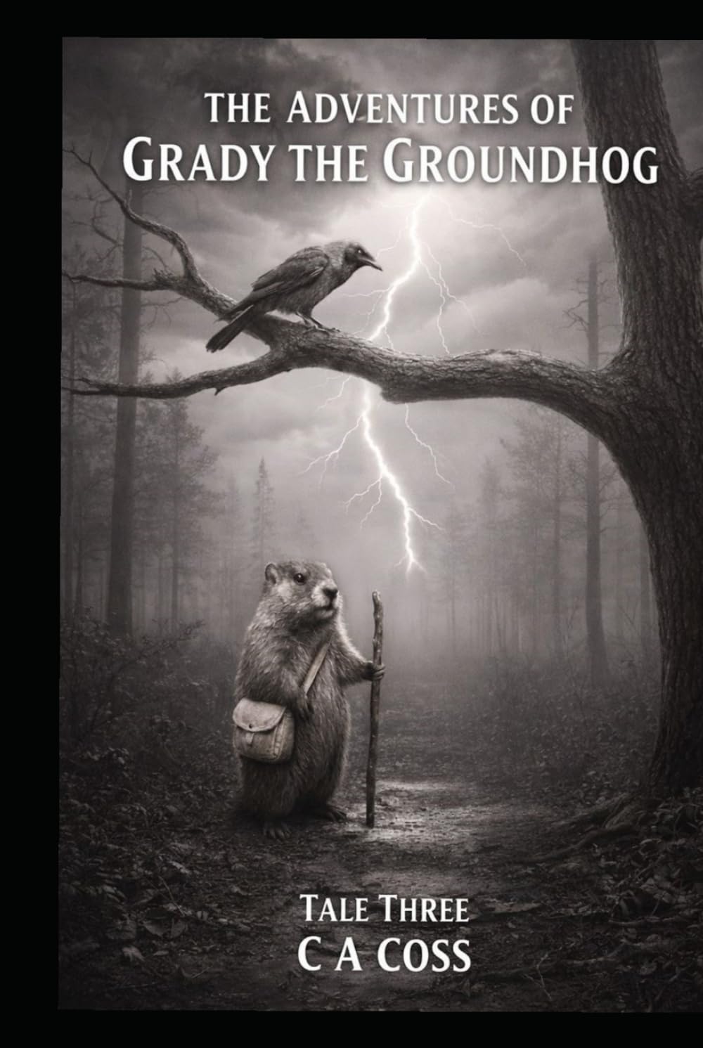 THE ADVENTURE OF GRADY THE GROUNDHOG TALE THREE: GRADY AND THE STORMY SKY (Grady the Groundhog’s Maplewood Tales)
