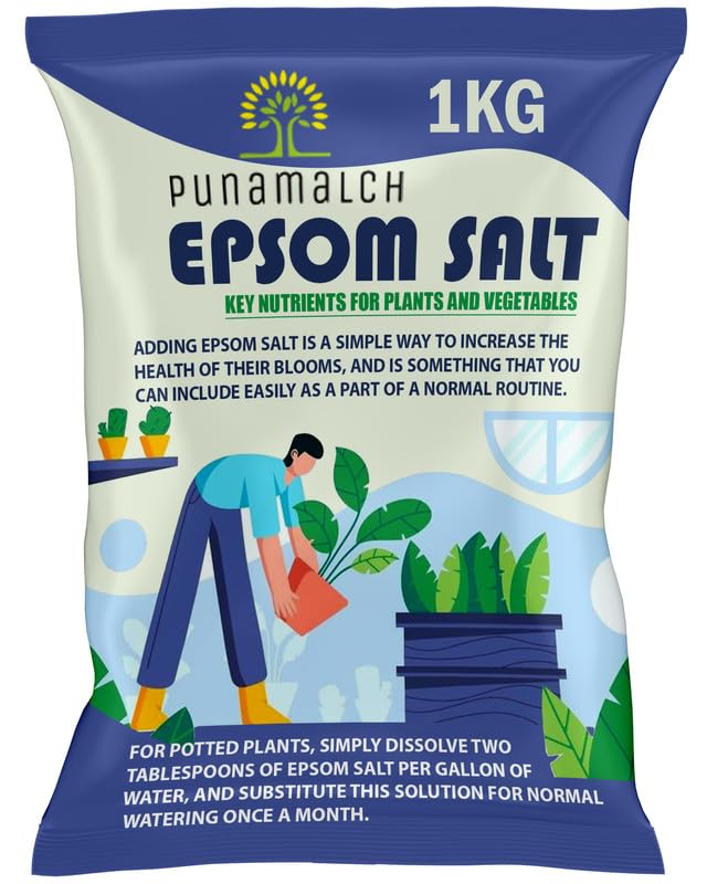 punamulch Epsom Salt for Plants Water Soluble Fertilizer for Plants and Gardening, Plant Growth & Development |Organic Gardening Magnesium Sulphate | Water Soluble Plant Fertilizer (1Kg) (B0D35KCV4F) Amazon Price History, Amazon Price Tracker