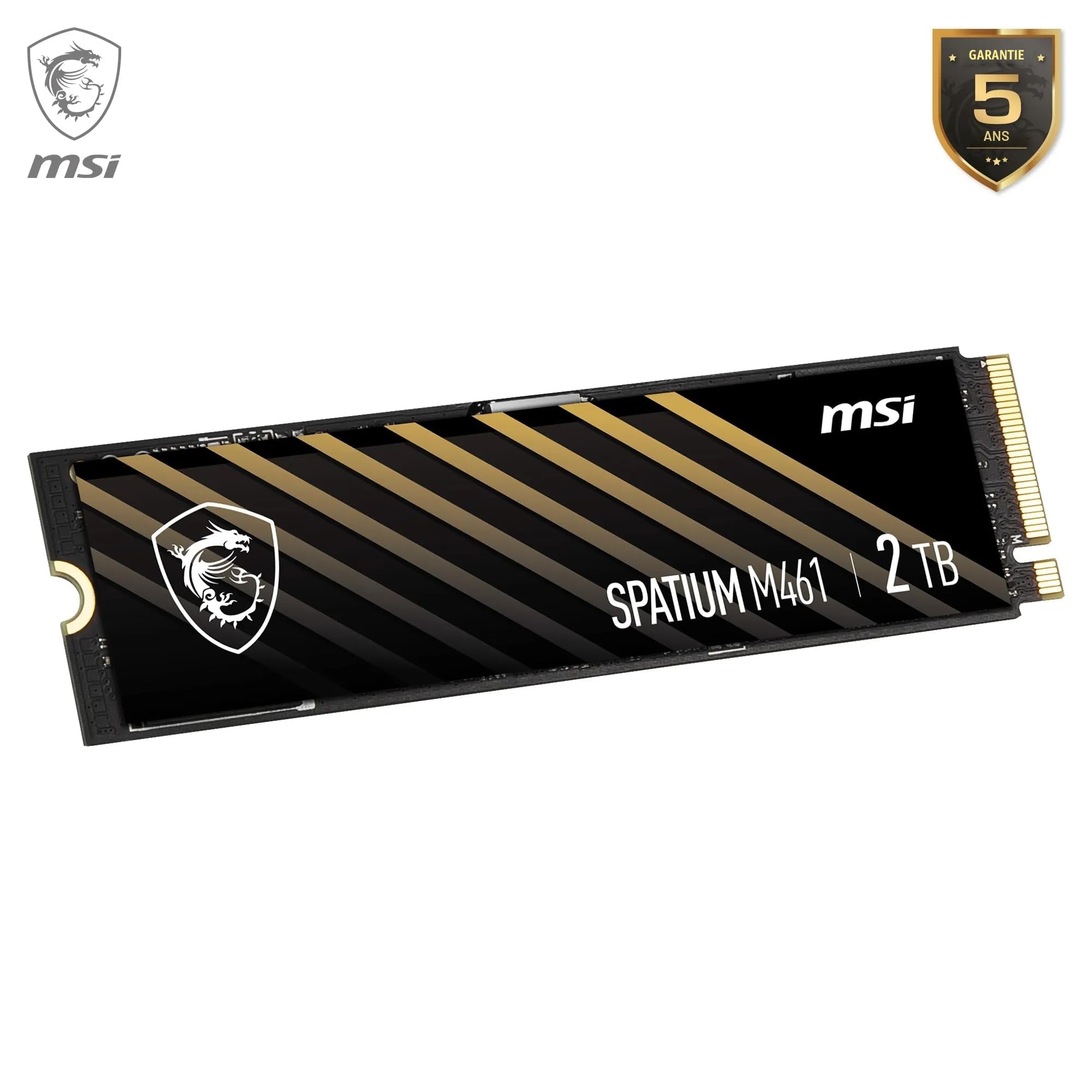 MSI SPATIUM M461 PCIe 4.0 NVMe M.2 2TB - Disque SSD Interne 2 to, PCIe 4.0 NVMe M.2, Lecture 5000 MB/s & Écriture 4200 MB/s, 3D NAND, Sécurité des Données Intégrée, Center, 450 TBW, Garantie 5 Ans