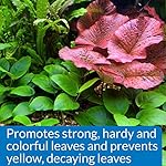 API LEAF ZONE Freshwater Aquarium Plant Fertilizer 18-Ounce Bottle White - Image 5