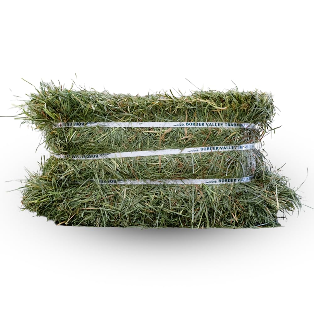 Border Valley Orchard Grass Hay Bale in Bag, 40 lb - Soft High Fiber Hay for Rabbits, Guinea Pigs, Chinchillas, Tortoises, Horses and Livestock - Leafy Grass Hay, Farm-to-Home Freshness