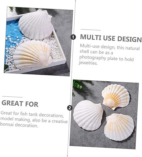 Miniatura 9 de NOLITOY 8 Pcs Beach Shells for Crafts Ornament Crafts Mariposas Decorativas para Pared Cowrie Shells Charm Fish Tank Photo Props White Decor Abalone