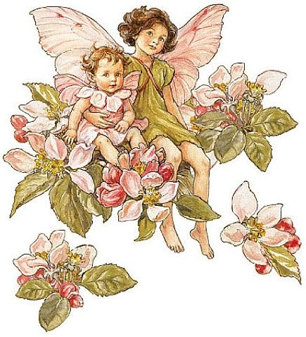 12955 Apple Blossom Flower Fairies Wallpaper Cutout