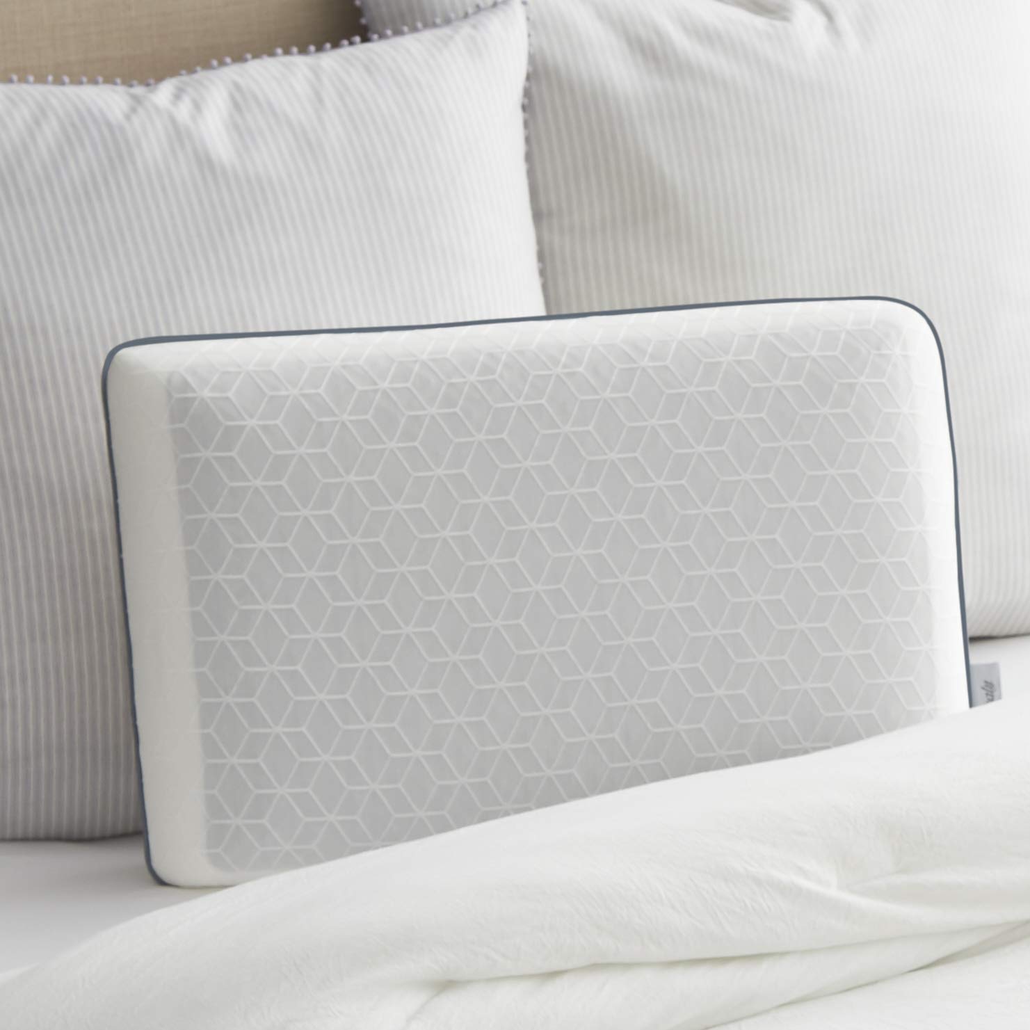 sealy pillows amazon