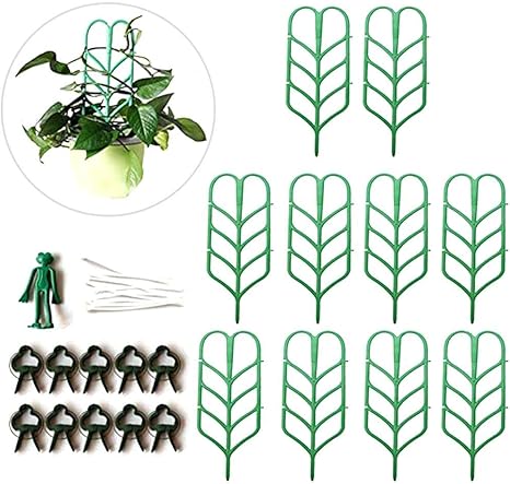 Amazon 植物園芸用品 花支柱 植物支柱 カエルのはさみ プラスチックのはさみ 植物サポート ベランダ鉢植え台 支持フレーム 植物サポート フラワースタンド 花支え 花架セット 植物支柱 花ささえ 園芸支柱 つる性植物 観葉支柱 誘引 支柱 植物サポート 観葉植物 Amazon 植物園芸用品 花支柱 植物支柱 カエルのはさみ プラスチックのはさみ 植物サポート ベランダ鉢植え台 支持フレーム 植物サポート フラワースタンド 花支え 花架セット 植物支柱 花ささえ 園芸支柱 つる性植物 観葉支柱 誘引 支柱 植物サポート 観葉植物