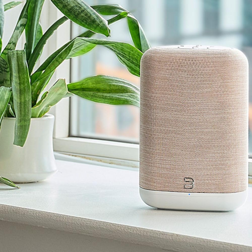 Bluesound Pulse Flex Bluetooth senza cavo Hi-Res All-in-One, AirPlay 2, Spotify Connect, Alexa Skills, altoparlante audio multi-room (bianco/marrone chiaro)