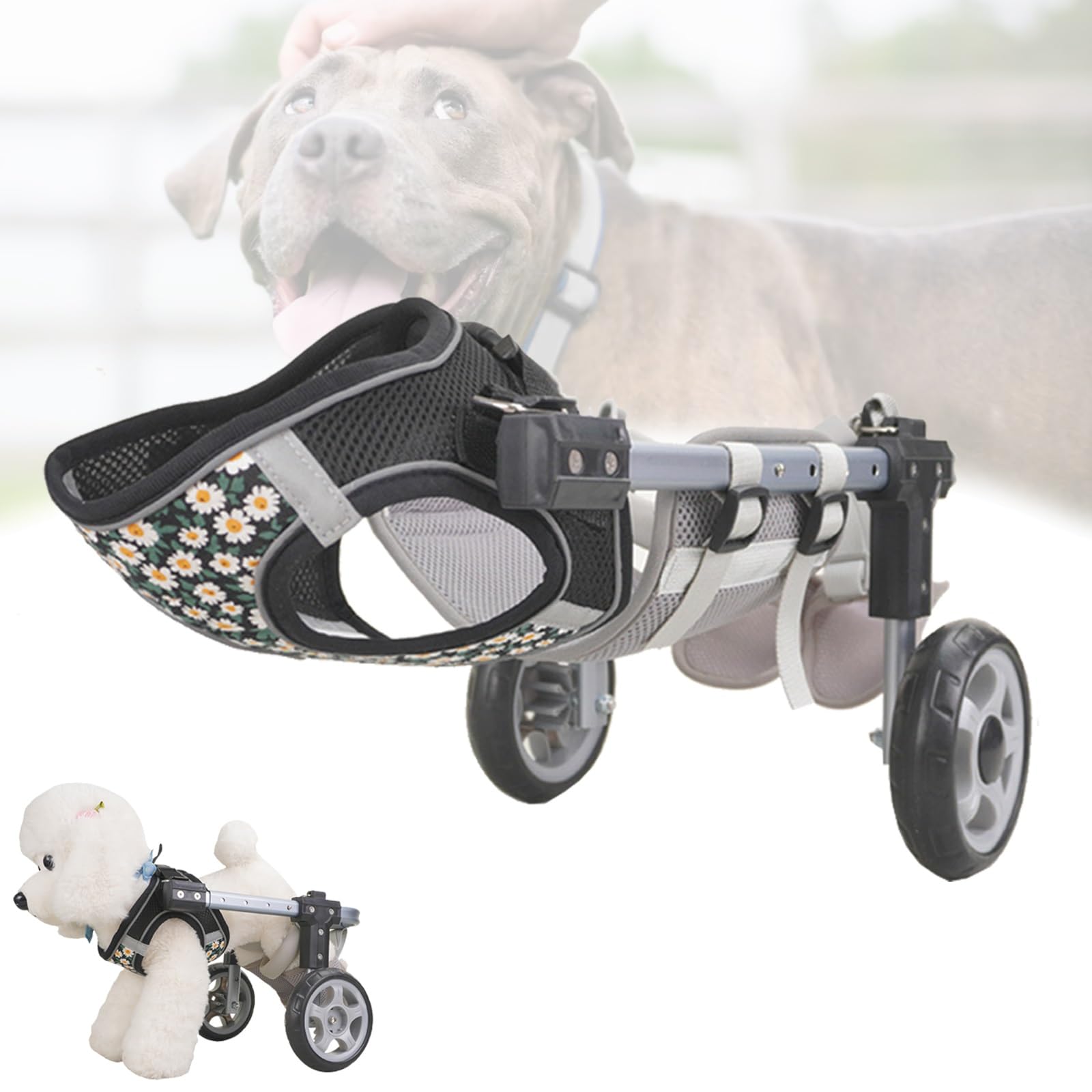Chien paralysé ? Fauteuil roulant réglable M pour sa mobilité