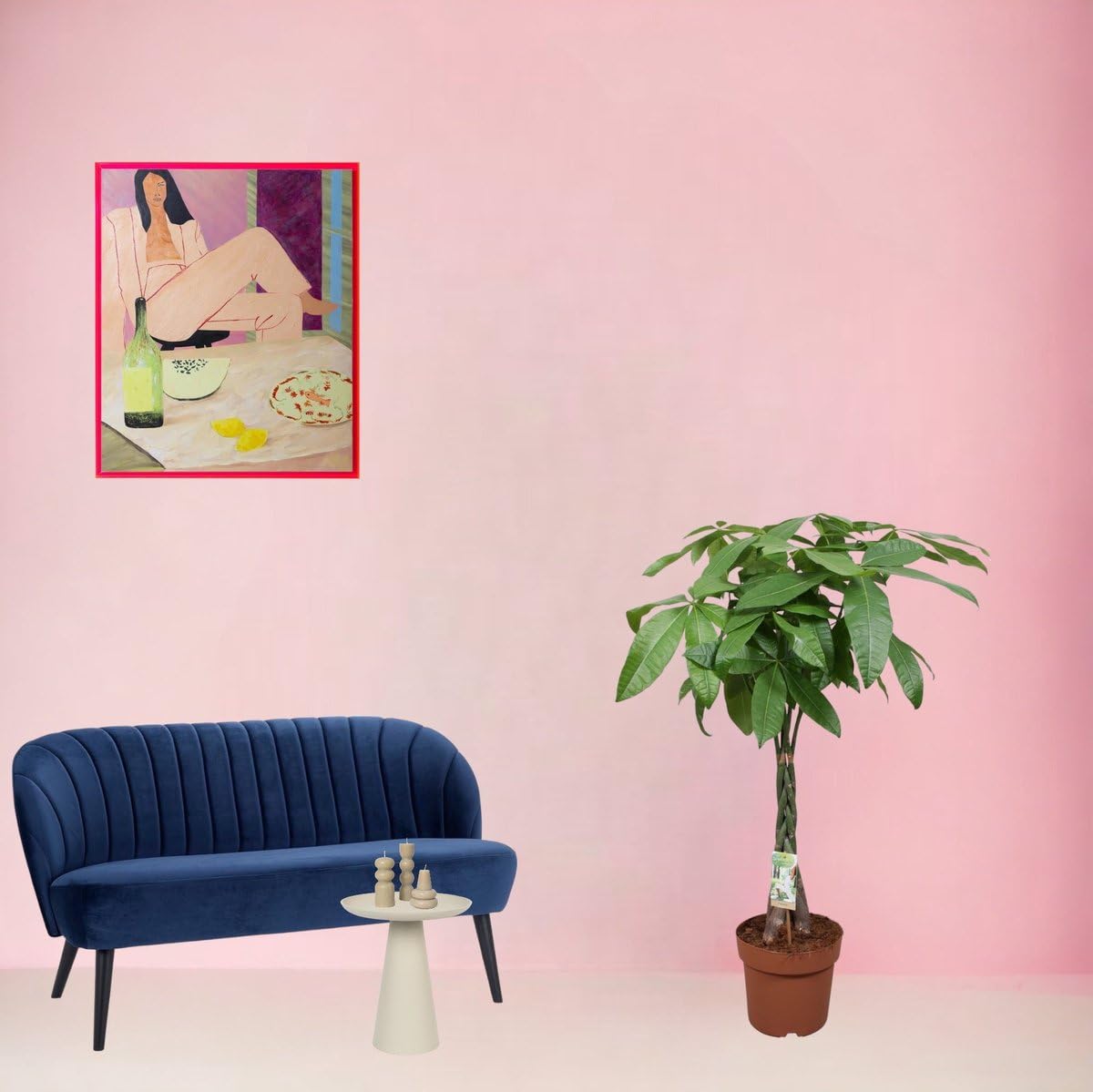 Trendyplants - Pachira Aquatica - Arbre à argent - Plante d'intérieur - Hauteur 110-130 cm - Taille du pot Ø24cm