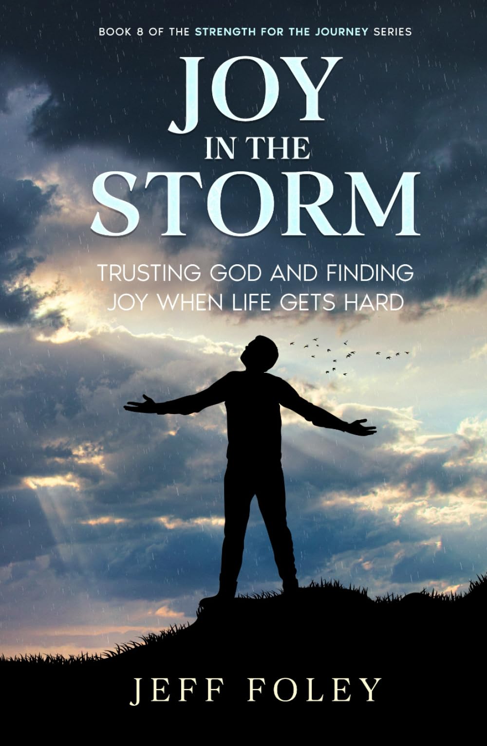 Joy In The Storm: Trusting God And Finding Joy When Life Gets Hard (Strength For The Journey)