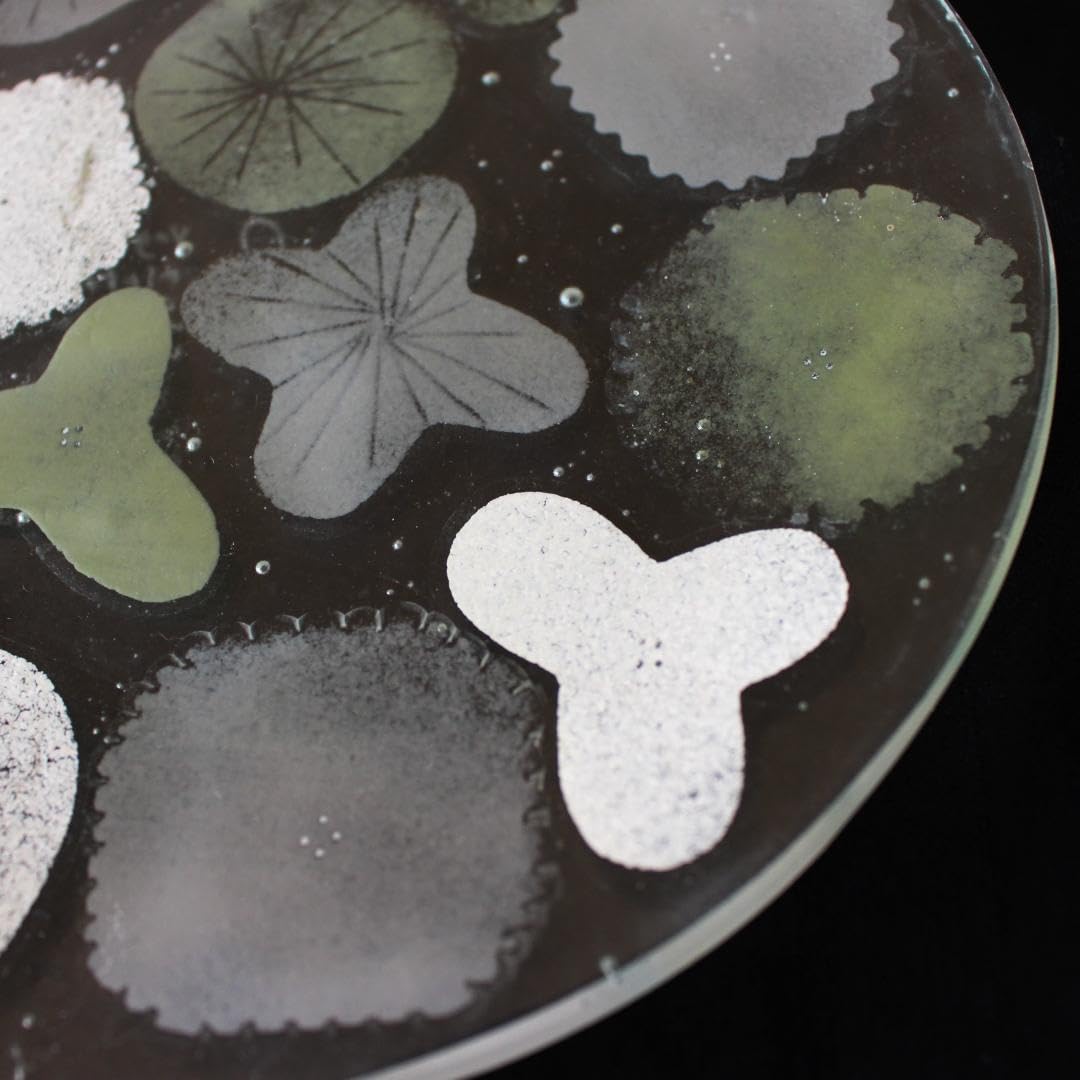 新品☆八木麻子さん bouquet ブーケ yagi asako glass 皿 【公式通販】