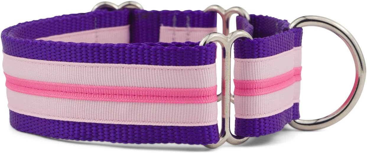 If It Barks - 1.5" Martingale Collar for Dogs - Stripe Design - Adjustable - Strong and Comfy Nylon - Ideal for Training - Made in USA - Small, Dahlia