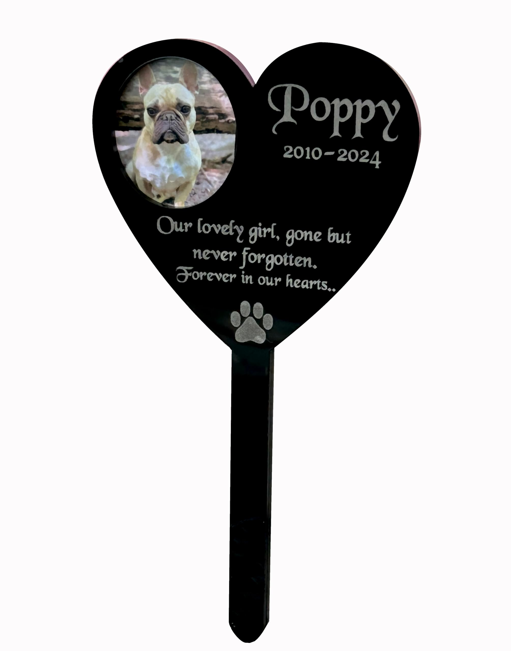 Personalised Pet Memorial Plaques, Premium Photo, Gift, Cat, Dog, Rabbit, Garden Sign, Grave Marker, Plaque with photo, Image