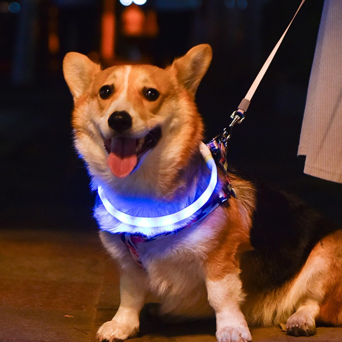 YARNOW 2juegos Collar Led para Perros Recargable por USB y Luminiscente para Paseos Material Resistente y Cómodo para Mascotas