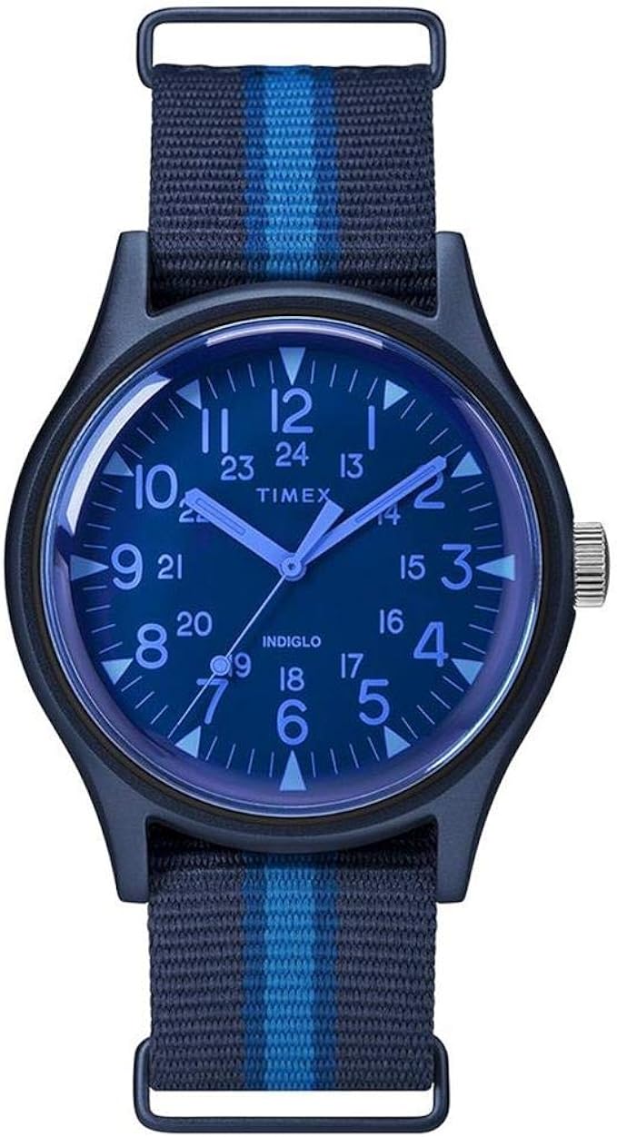 timex canvas