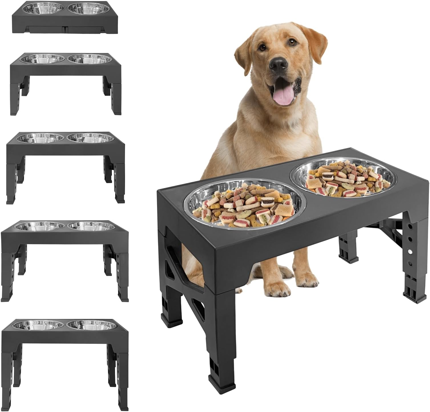 Pet Supplies Elevated Dog Bowls with 2 Stainless Steel Dog Food Bowls