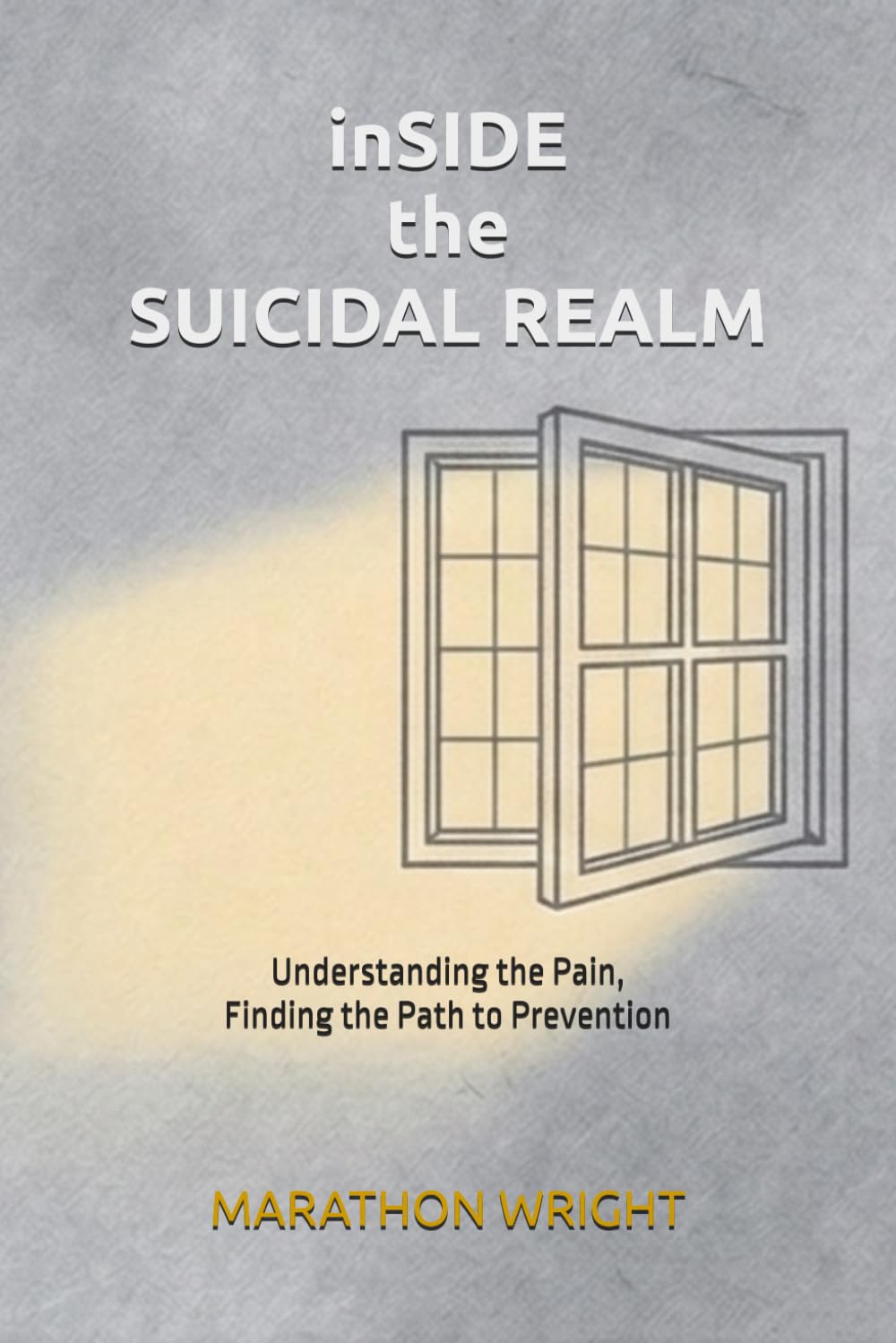 inSIDE the SUCIDAL REALM: Understanding the Pain, Finding the Path to Prevention