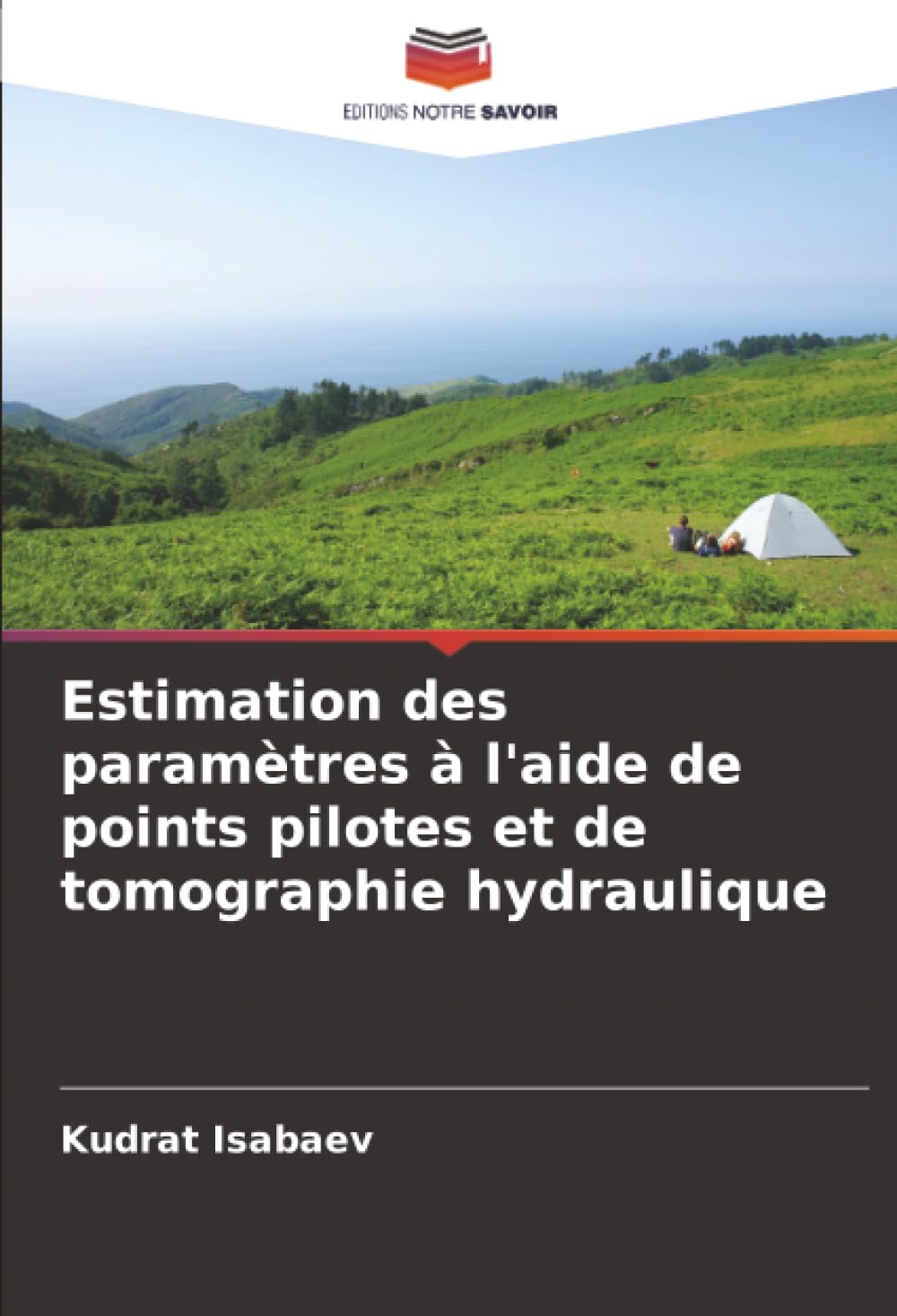 Estimation des paramètres à l'aide de points pilotes et de tomographie hydraulique