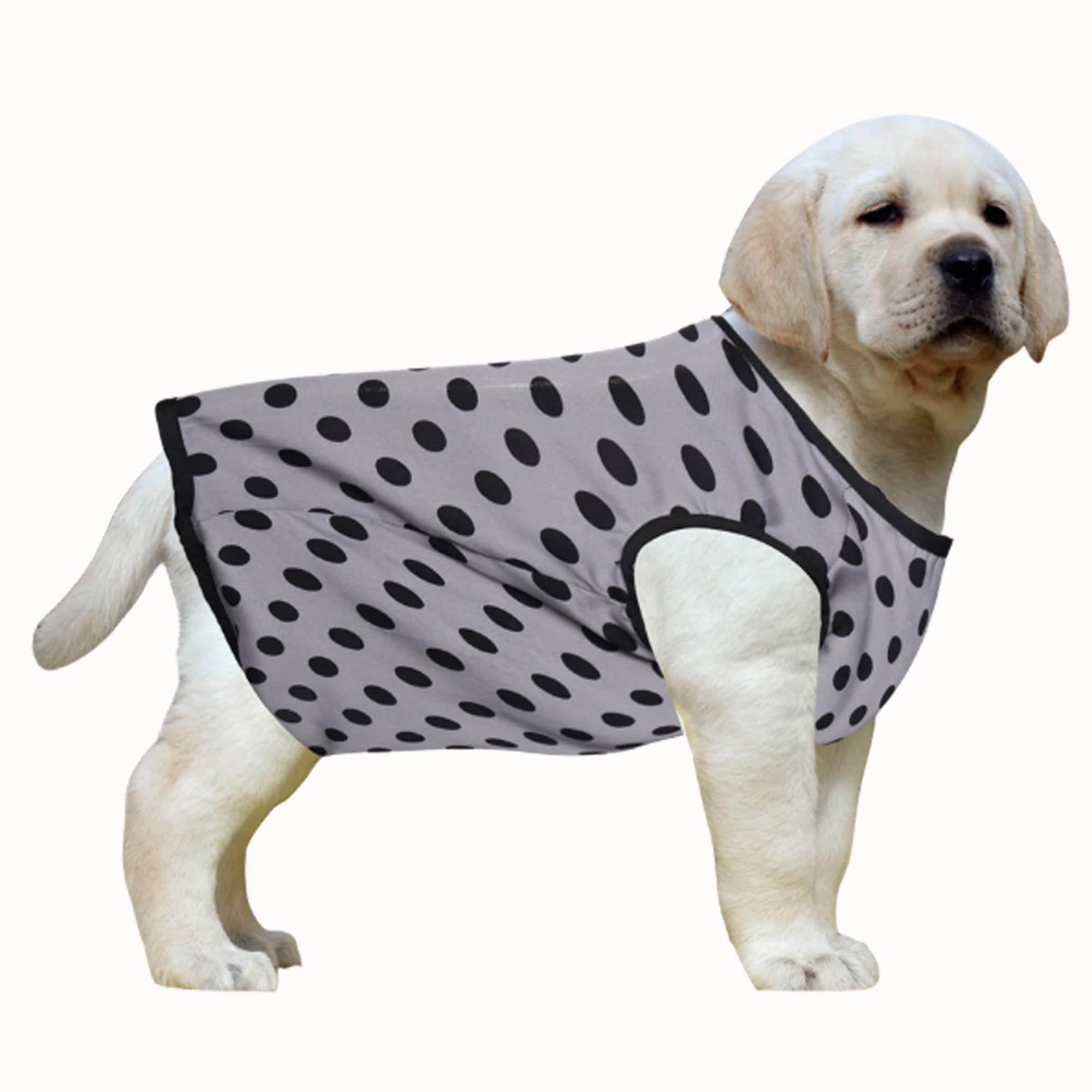 Western Era Funky Soft Cotton Dog T-Shirt, Comfortable Dog Clothing, Sleeveless Vest Puppy Outfit, Apparel (Polka Grey) (XXSmall) (10 inches) (B0BD4KC1F8) Amazon Price History, Amazon Price Tracker