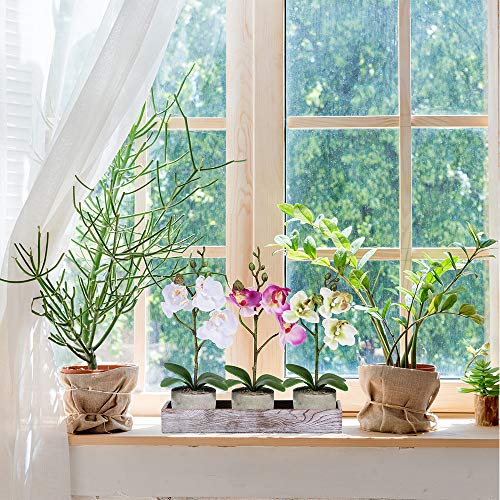 Set Of 3 Fake Orchid Assortment Mini Potted Orchid Plants With Wood Planter Box Artificial Phalaenopsis Orchid Flowers In Pots For Indoor Office Desk Room Kitchen Table Décor Centerpiece Multicolor #TOP3