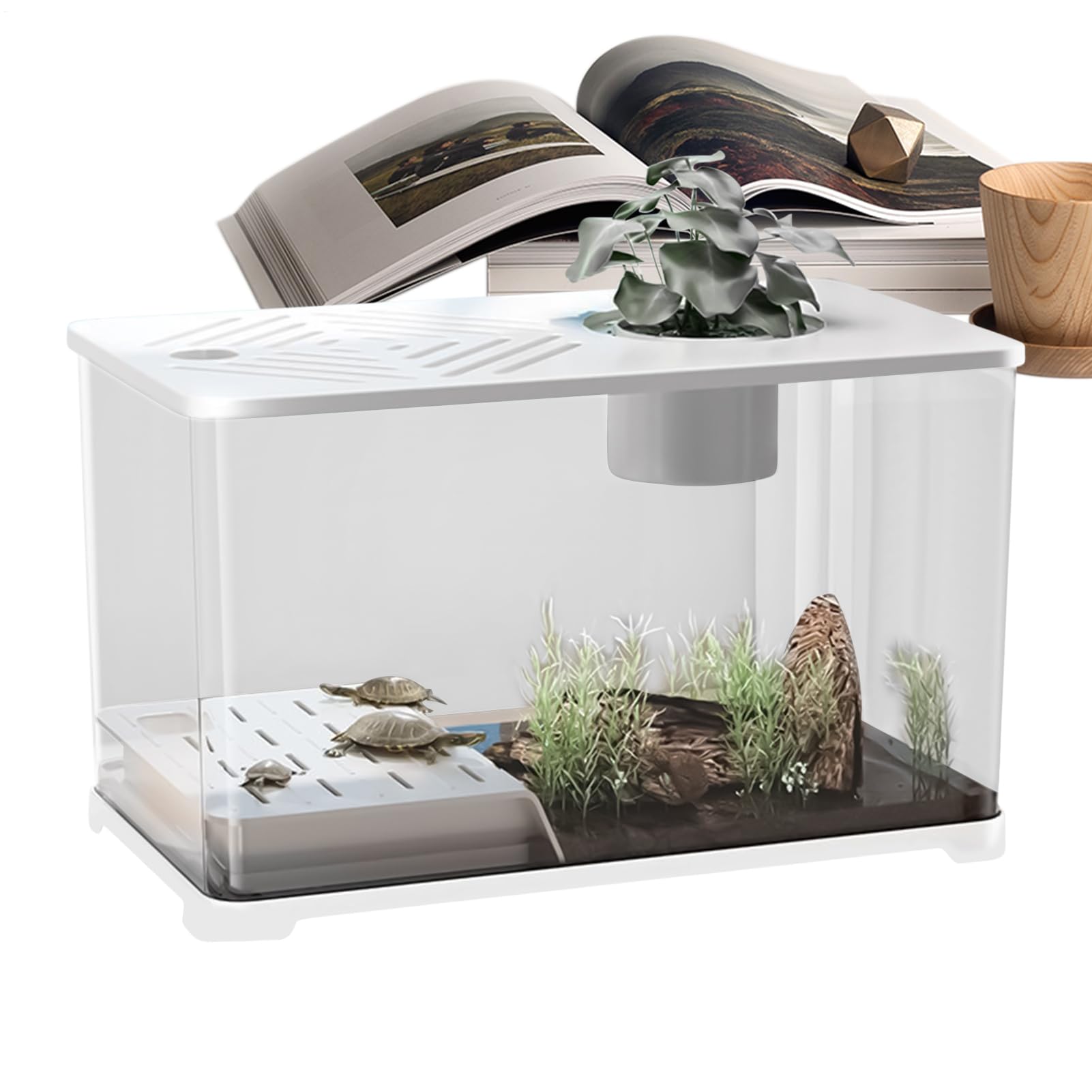 Acuario Kits De Inicio Para Acuarios Grandes | Contenedor Moderno con Zona para Tortugas, Accesorios para Peces Betta y Camarones con Plantas Acuáticas