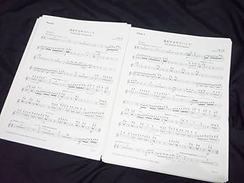 迷走するサラバンド オーディナリー・マーチ 2010年度吹奏楽コンクール課題曲 迷走するサラバンド オーディナリー・マーチ 2010年度吹奏楽