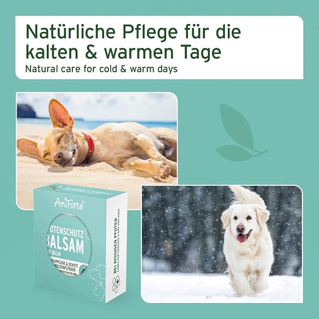 Foto 6 de 8 de AniForte Bálsamo protector de patas para perros y gatos: regenera y fortalece las patas secas
