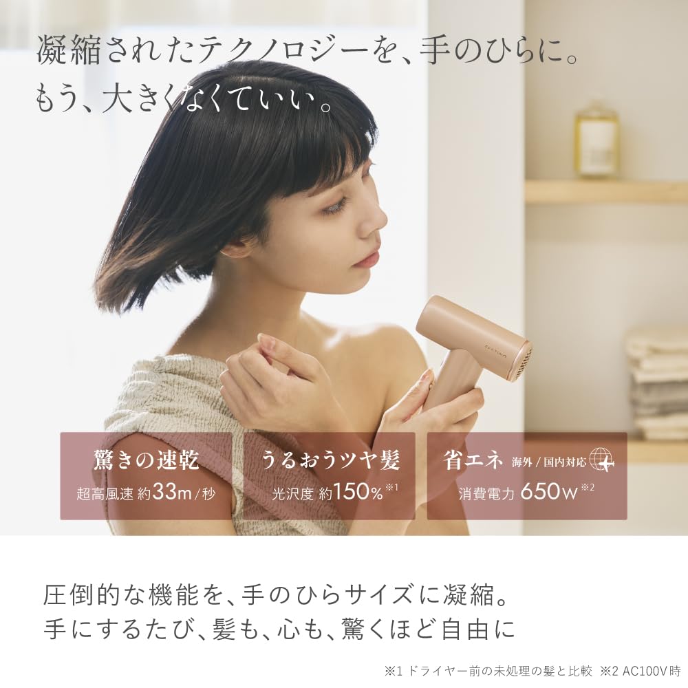 Amazon | FESTINO フェスティノ ツヤモストドライヤーLIGHT FDR-2 ミニ