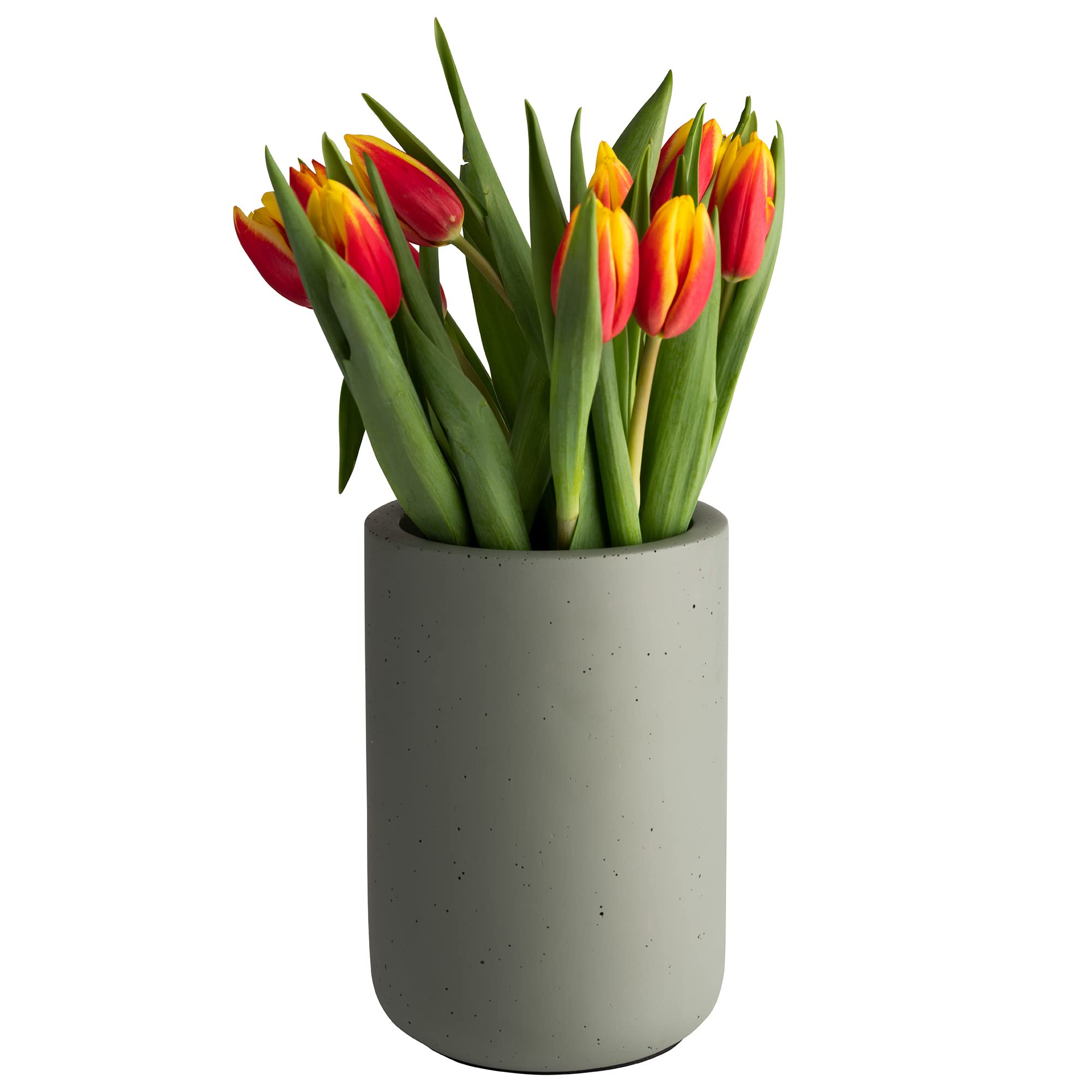 APS Refrigeratore per bottiglie ELEMENT in cemento – con fondo per mobili – per bottiglie da 0,7 – 1,5 litri – Ø 12/10 cm, altezza 19 cm, verde