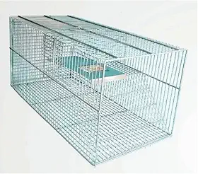 Ratoeira Gaiola de Captura para Ratos, Camundongos e Ratazanas