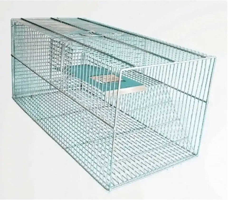 Ratoeira Gaiola de Captura para Ratos, Camundongos e Ratazanas