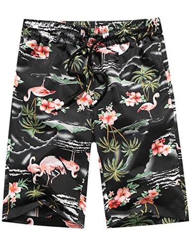 SSLR Men's Flamingos Slim Fit Drawstring Board Shorts (32, Black)