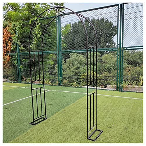 Arche de jardin pour rosiers treillis plantes grimpantes métal durable L150 extérieur