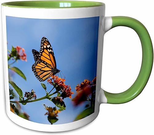 Miniatura 9 de 3dRose Danita Delimont - Butterflies - USA, California. Mariposa monarca sobre flor de lantana. - Tazas Red/White,Black,Blue,Green,Varios
