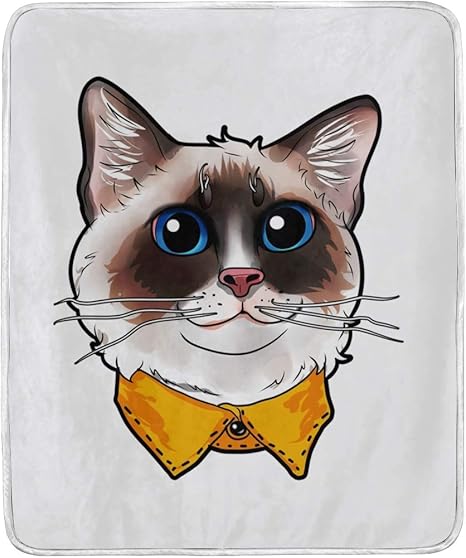 Amazon ブランケット ひざ掛け おかしい ラグドール猫 かわいい柄 毛布 お昼寝 膝掛け 車中泊 キャンプ 防寒対策 175 135cm 並行輸入品 ひざ掛け ハーフケット オンライン通販